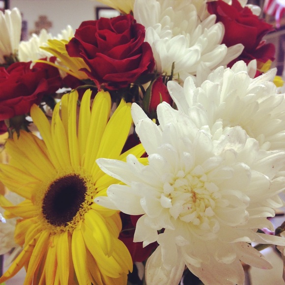 Meet your Posher, Sherry - Picture 1 of 1